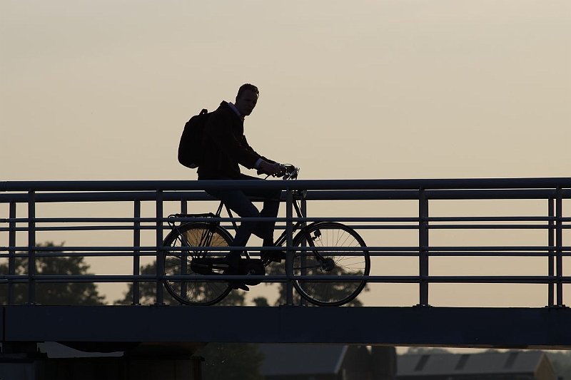 AG03.JPG - Dankzij het tegenlicht een mooie silhouet opname.