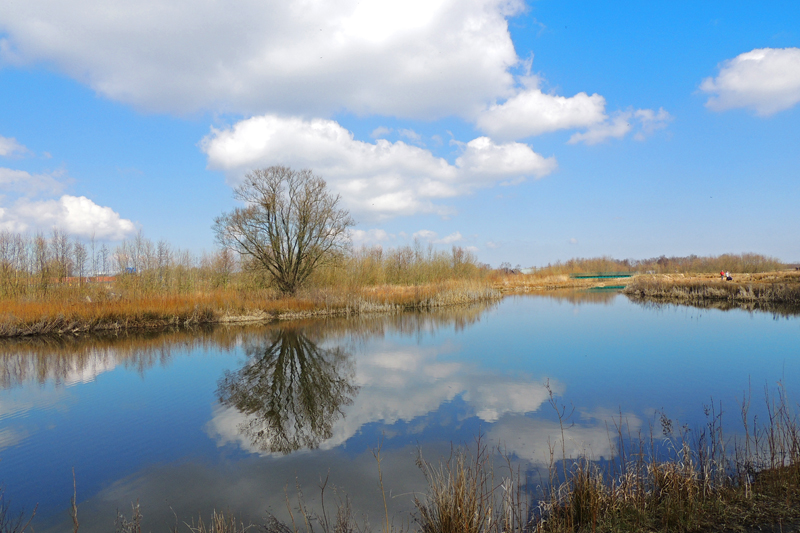 AH03.jpg - Heel mooi spiegelend landschap. Ook heel goed belicht. Jammer dat net je horizon niet helemaal recht staat.          