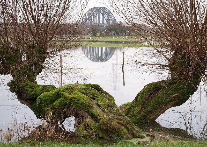 AI02.jpg - Prachtig die brug en zijn spiegelbeeld zo mooi omsloten door die twee kromme bomen die ook weer bijna elkaars spiegelbeeld lijken.       