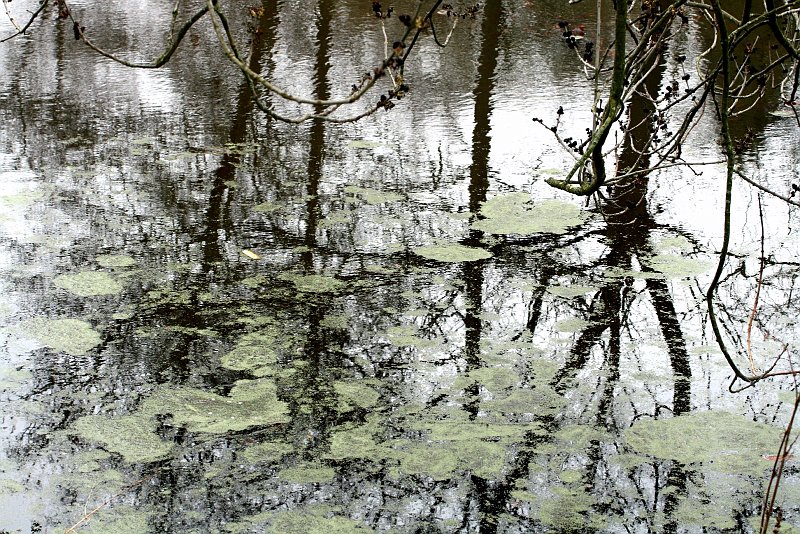 AK02.JPG - Het lijkt bijna een impressionistisch schlderij dit spiegelbeeld.