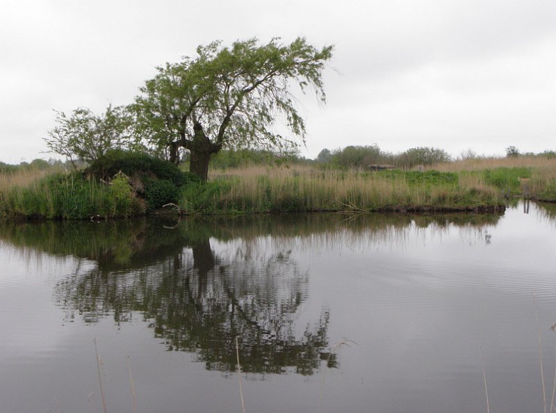 AR01.jpg - Het is een apart beeld zo die boom met zijn spiegelbeeld. Leuke symmetrische compositie en goed belicht.