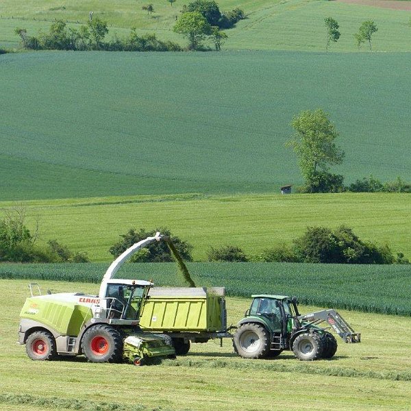 AH01.jpg - Mooie foto. Goed belciht en een aantrekkelijke compositie.