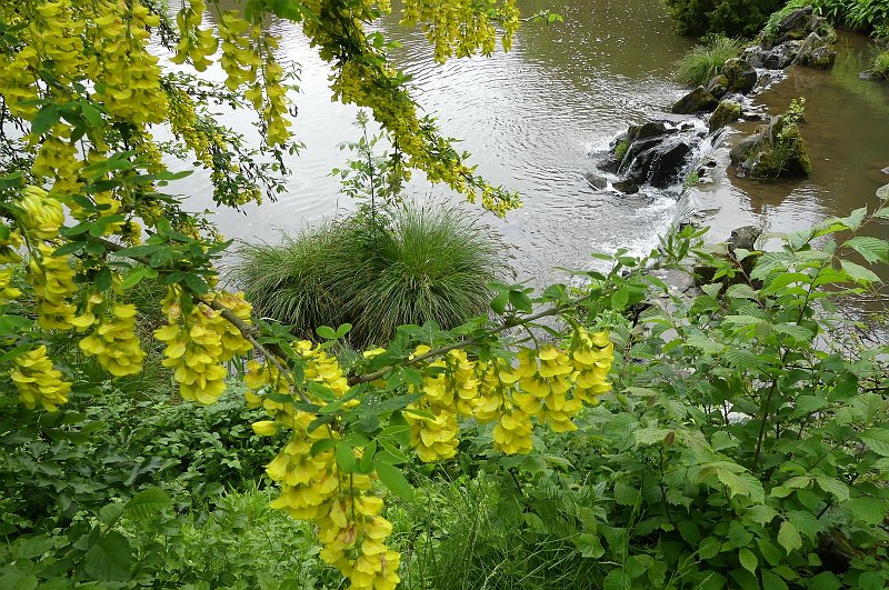 AB03.JPG - Mooi dit doorkijkje met ook nog eens mooie stroming.