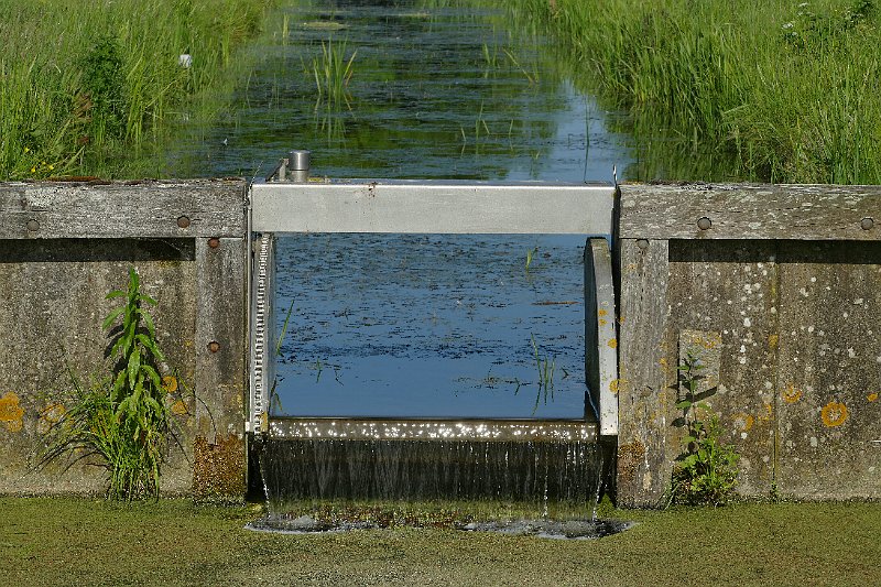 AE02.jpg - Om de sloot wat meer nadruk te geven zou een staande uitsnede met nog wat meer lengte sloot in beeld misschien net wat mooier zijn geweest. Het geeft wat meer ruimte aan de foto. Nu is het zo "opgesloten".