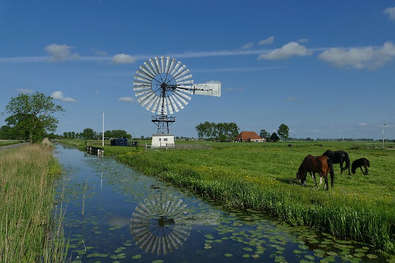 AE03.jpg - Net zoals bij deze foto door de lengte van de sloot , wat meer land en lucht krijg je een gevoel van ruimte.