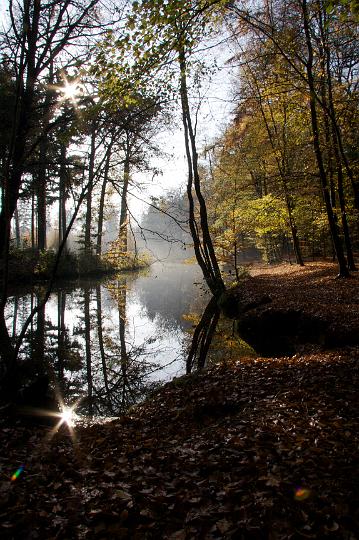 AE03.jpg - Ook hier weer een prachtige herfstsfeer. Goed gekozen standpunmet nog net de reflectie van de zon op het water. Er zou hooguit iets minder kaal blad op de voorgrond in beeld hebben gemogen.