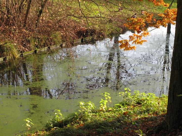 AO02.JPG - Ondanks dat er veel in beeld is, vind ik de herfst sfeer wat "kaal".