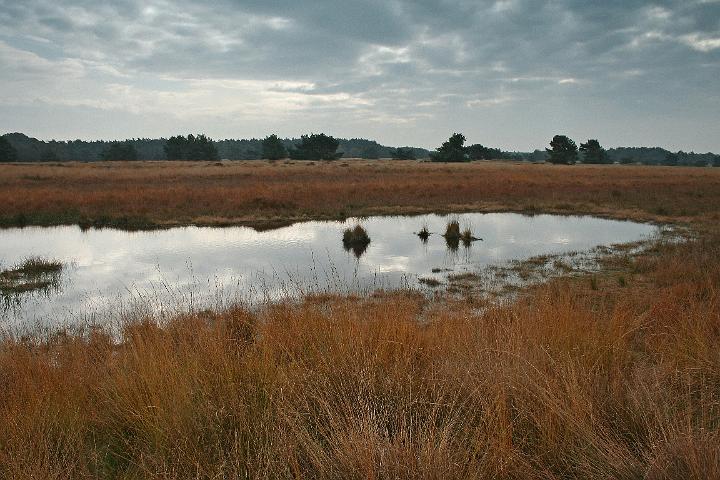 AR02.JPG - Mooi de bruine grassprieten langs het ven. De lucht en de weerspiegeling daarvan in het water maken het herfstplaatje compleet. Een iets ander camerastandpunt zodat het ven van linksonder in beeld naar rechts ongeveer op de zelfde plek als nu had de foto misschien nog iets meer gegeven.