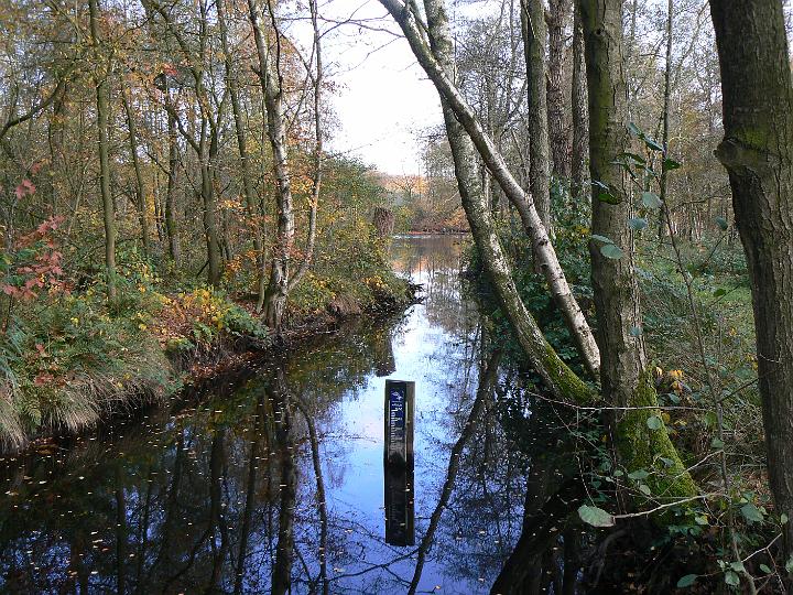 AX01.JPG - Mooi belicht en veel herfst in beeld.