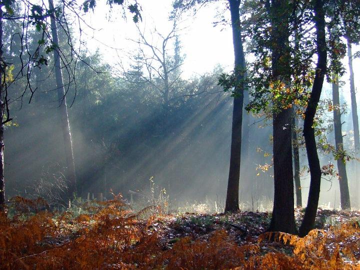 AY03.jpg - Heel mooi weer die lichtval. Altijd een kwestie van precies op het goede moment aanwezig zijn.