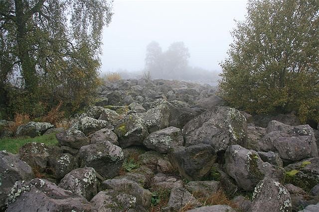 AC03.jpg - Mooi symmetrisch de twee bomen aan weerszijden en dan de vage bomen in de mist geven een mooi totaal beeld.