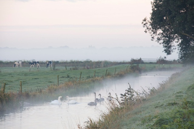 AD03.jpeg - Een heel andere sfeer in deze opname. Met verder weg een hele dichte mist en dan die flarden nevel boven het water.