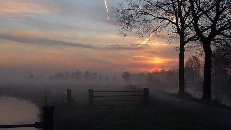 AE02.jpg - Een mooie sfeer zo met links en rechts het water, de mist en de opkomende zon. De belichting is optimaal.