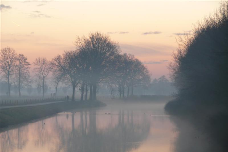 AG03.JPG - Wat de kleur betreft, zie de opmerking bij de vorige foto. Maar verder ziet het er allemaal goed uit. (Wat bewijst dat je dit soort foto's absoluut ook met een goede compact camera kan maken.)