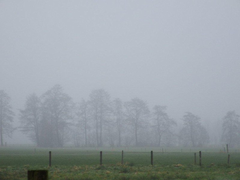 AJ01.jpg - De mist is hier ook weer duidelijk te zien. Ik had hier alleen gekozen voor een andere beelduitsnede, zodat erwat minder lucht in beeld zou zijn geweest.