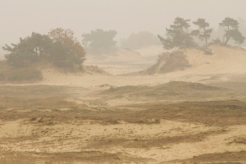 AN02.jpg - Ook hier weer een enorme diepte door de mist.