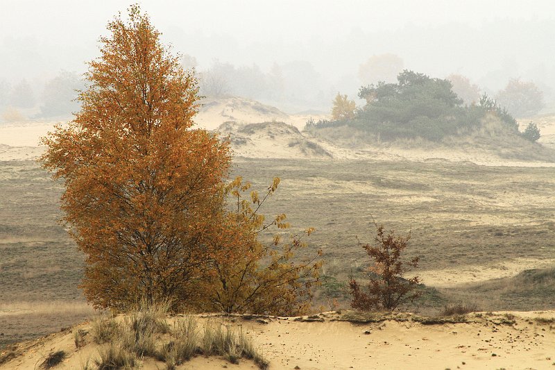 AN03.jpg - Ik vind deze persoonlijk mooier, dan de vorige vooral door de boom op de voorgrond. Ik zou persoonlijk alleen deze boom wat meer aan de linkerrand van de foto hebben gezet als een soort afscheiding.