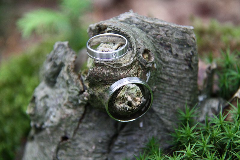AB01.JPG - Heel mooi gevonden zo die twee ringen op dat stronkje. Ook de scherptediepte is precies goed.