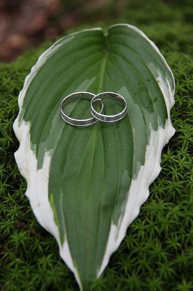 AB03.jpg - Ook deze ringen op het blad zijn erg mooi belicht. Ik zou nog een wat grotere lensopening (lager getal) hebben gekozen om iets minder blad scherp op de foto te krijgen. Daardoor zouden de ringen er nog iets meer uitspringen.