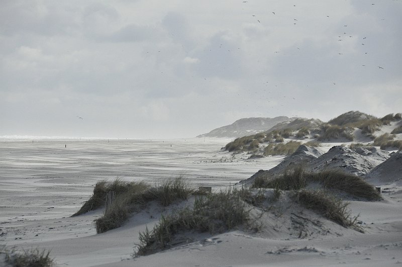 AA01.jpg - Ik voel het zand bijna tussen m'n tanden knarsen. Let op dit soort locatie's wel erg op. Zand is een dankbaar onderwerp om te fotograferen, maar het is de moordenaar voor je camera. Flink je camera in plastic in pakken en na de foto direct weer in je tas en die tas weer in plastic. Zand is nog erger als water het dringt overal door naar binnen.