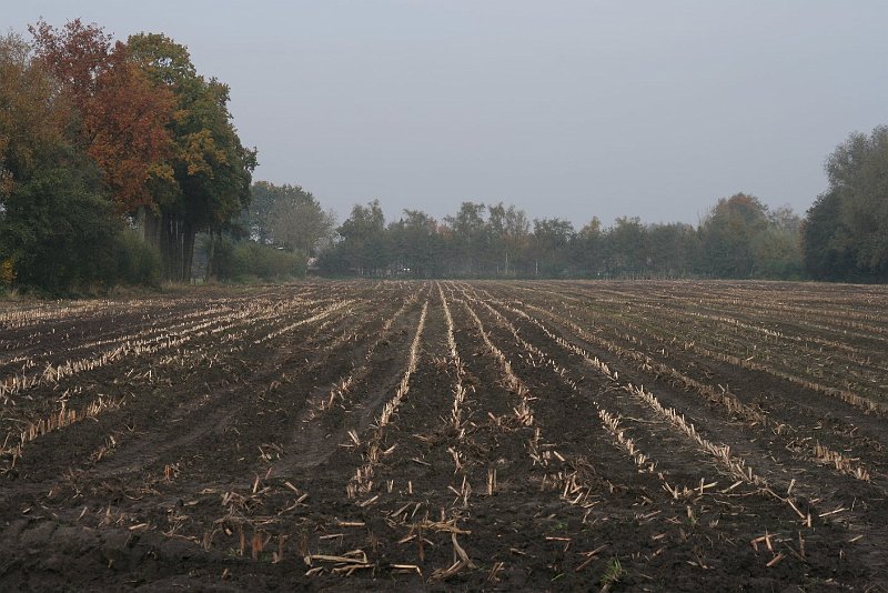 AC02.JPG - Eens wat anders dit donkere zand tussen al dat lichte zand. Wat compositie betreft had ik hier 2 passen naar voren gedaan (of iets ingezoomd) zodat de weglopende lijnen direct onderin het beeld begonnen.