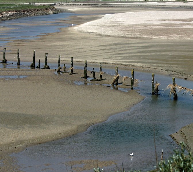 AG02.JPG - Goed belichte opname. Voor de compositie had ik rechts de bocht van het water helemaal in beeld genomen.