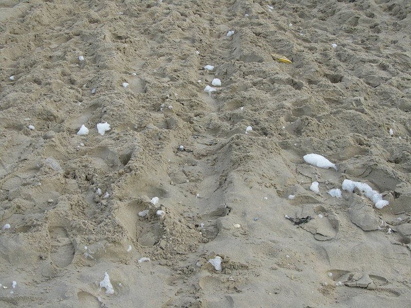 AS03.JPG - Het wat lagere camerastandpunt geeft een beter zicht vop het reliëf in het zand.