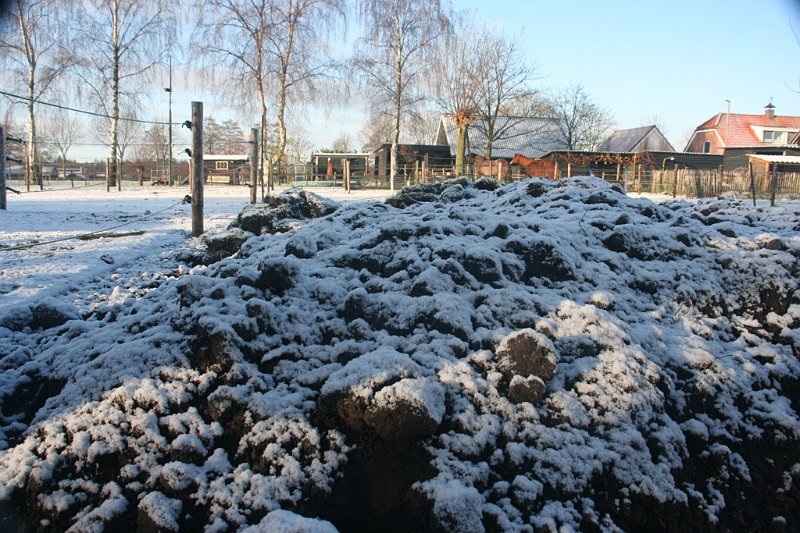 AW03.JPG - Mooi laag camerastandpunt en een goede belichting. Alleen lijkt het of je een verkeerde zonnekap op je objectief hebt of dat hij er niet goed op zit.( De zwarte hoekjes links en rechtsboven.)