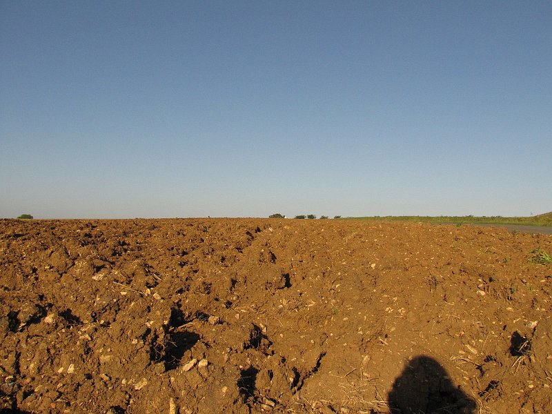 AX01.JPG - Ook hier mooi dat lage camerastandpunt. Het benadrukt echt het zand.