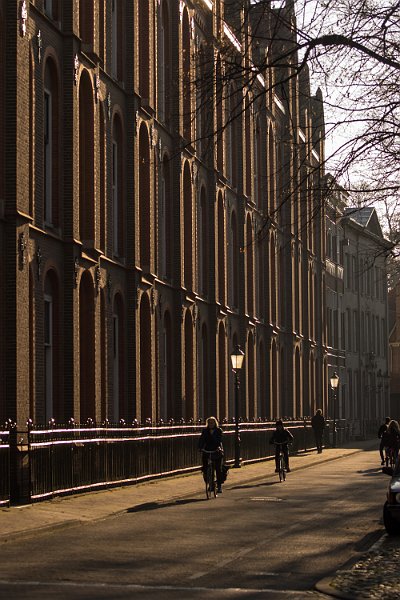 AA03.JPG - Een mooie tegenlicht opname van de straat. Belichting en scherpte is goed alleen zou ik mijn camera standpunt iets anders hebben genomen zodat dat stukje auto rechts net buiten beeld zou zijn gebleven.