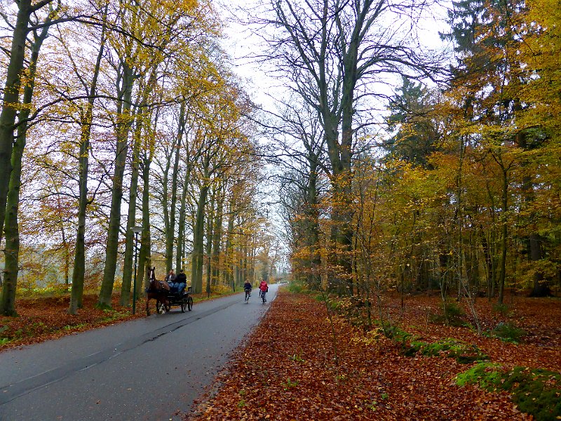 AE01.jpg - Een heel mooi herfstbeeld deze straat. Goede belicht en goede scherpte. Wat betreft de compositie had ik de linkerkant van de straat liever linksonder in de hoek laten beginnen.