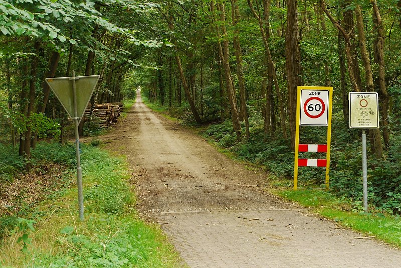 AI03.JPG - Goed belicht de weg loopt mooi weg, en met een schril contrast van de natuur en de "verzameling" borden.