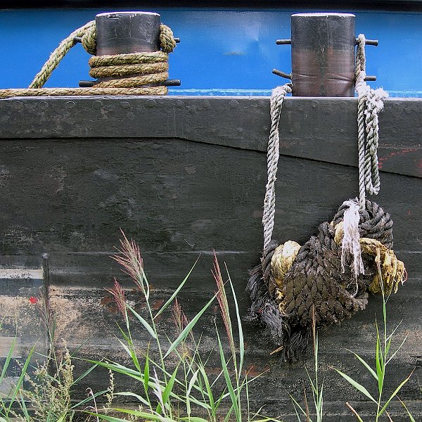 AF03.jpg - Goede belichting en scherpte. Wat betreft de compositie zou ik deze foto horizontaal hebben gespiegeld.