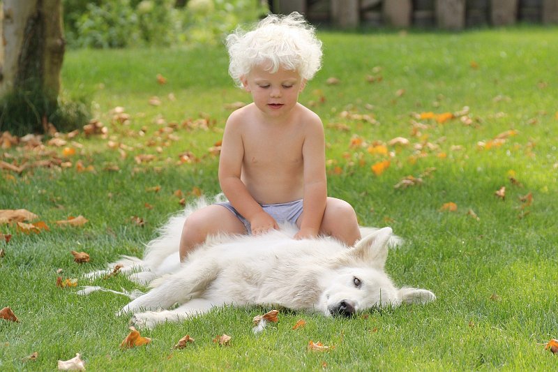 AN03.jpg - Prachtig dat blond en blond. Ook die groene ruimte er om heen geeft een heel mooi beeld.