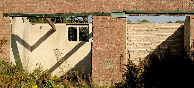 AJ03.JPG - Goede belichting en scherpte. De schaduwen op de muur geven net nog iets extra's in de compositie.