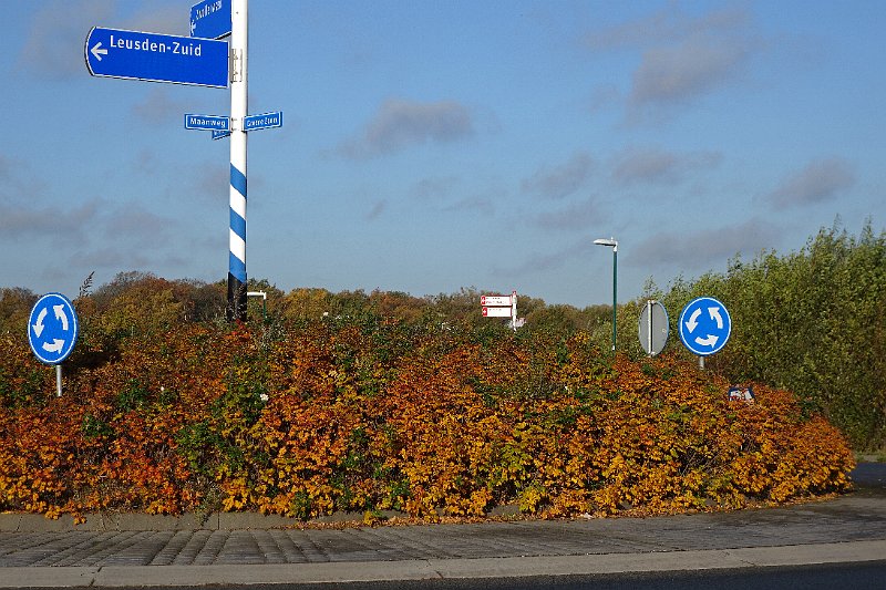 AH03.jpg - Rond en goed belicht. Ik zou zelf denk ik er voor hebben gekozen om ook de rotonde zo in beeld te hebben genomen dat zijn zichtbare ronding ook helemaal in beeld zou hebben gezeten.