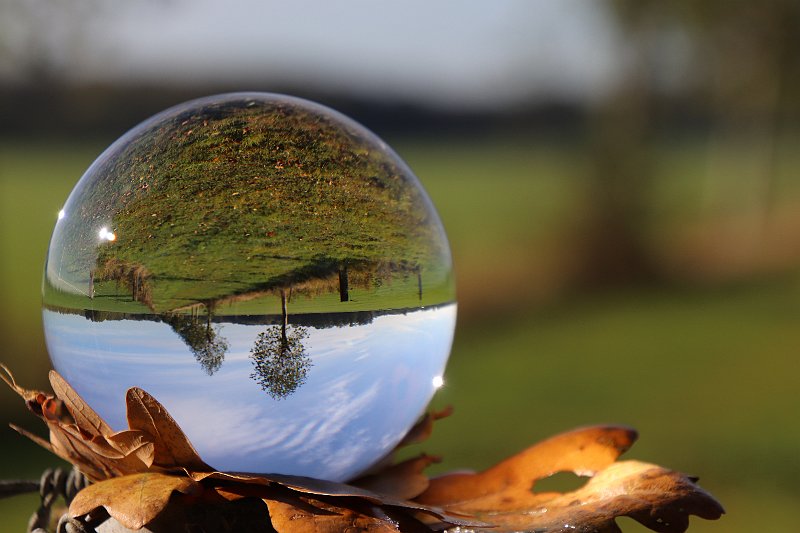 AL02.JPG - Heel mooi gebruik gemaakt van de glazen bol. Door niet alleen de bol maar ook wat blaadjes er onder te leggen wordt het beeld een stuk aantrekkelijker.