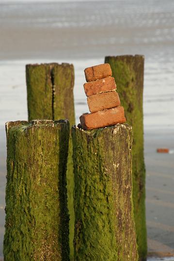 AL01.JPG - Jammer dat de foto net niet helemaal scherp is. Als er in plaats van diafragma 11 gekozen was voor 4.0 of 5.6 waren de achterste palen nog waziger geworden, maar door de sluitertijd van 1/125ste (5.6) of 1/250ste (4.0) was er geen bewegingsonscherpte geeest. De kleuren en de compositie zijn wel erg mooi gevonden.