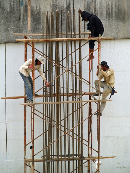 AB03.jpg - Een heel mooie uitsnede. Er zitten in deze compositie geen overbodige beeldelementen.     