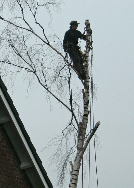 AF02.jpg - Hier had door de enorme hoeveelheid tegenlicht in de persoon in de boom meer detail gekomen als je een +1 en misschien wel +2 belichtingscorrectie zou hebben toegepast.