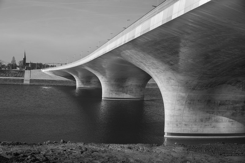 AA01.jpg - Mooie foto. Goede scherpte en belichting. Alleen jammer dat er geen cameradata meer in zit. Heeft vermoedelijk met de manier van verkleinen te maken.