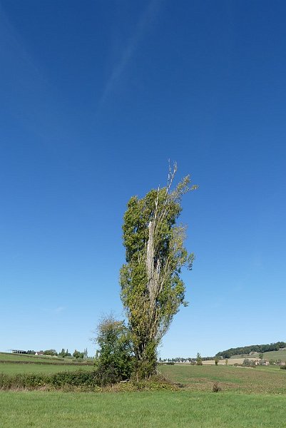 AE03.JPG - Door veel lucht in beeld te nemen wordt het blauwe extra benadrukt.