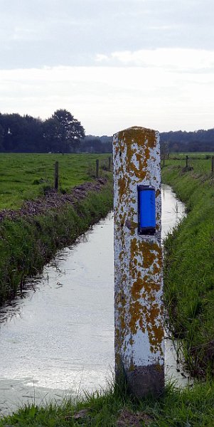 AM02.jpg - Het contrast van de baluwe reflector en het gele korstmos geeft deze foto net iets extra's.