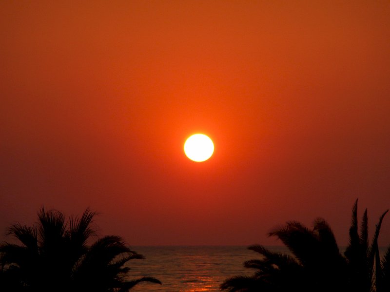 AW01.jpg - Haast te veel oranje in plaats van geel. Maar wat compositie betreft een leuke foto.