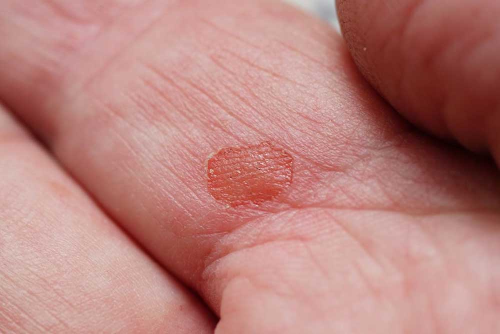 winnaar augustus 2019