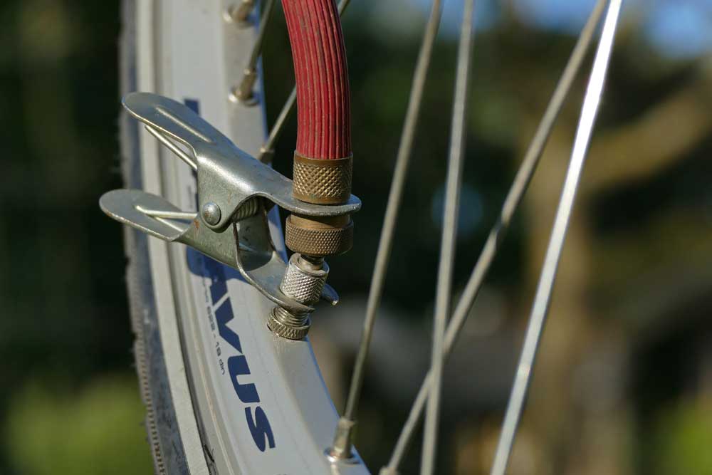 winnaar februari 2019